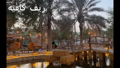 ريف كافيه