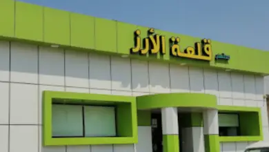 قلعة الارز