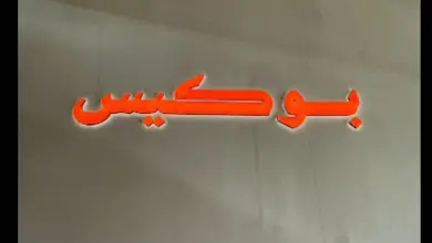 بوكيس