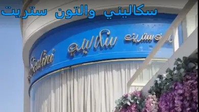 سكاليني والتون ستريت