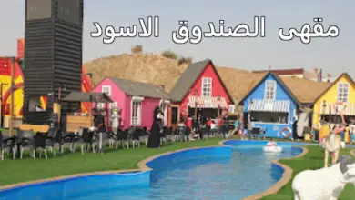 مقهى الصندوق الاسود