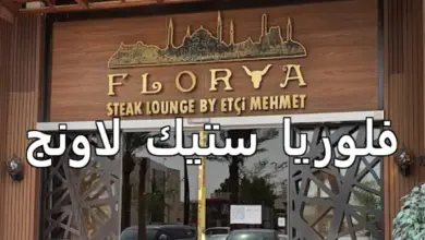 فلوريا ستيك لاونج
