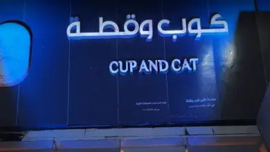 مقهى كوب وقطة